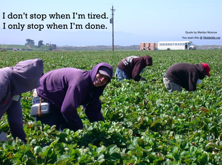 Screen Shot 2015-08-05 at 9.04.48 pm