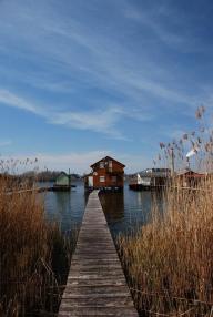 11140252_914133188647864_6399632007449197104_n