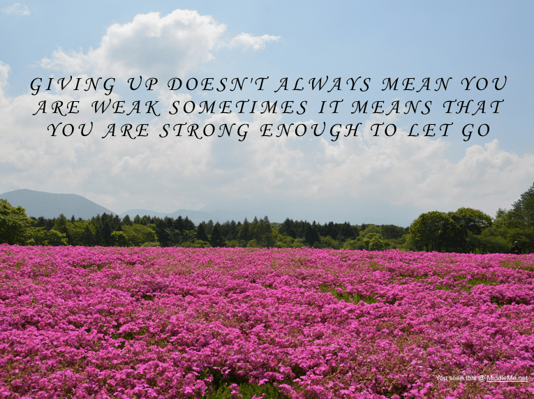 Screen Shot 2016-11-13 at 11.57.29 AM.png