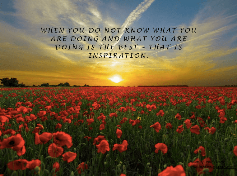 Screen Shot 2016-11-13 at 12.16.11 PM.png