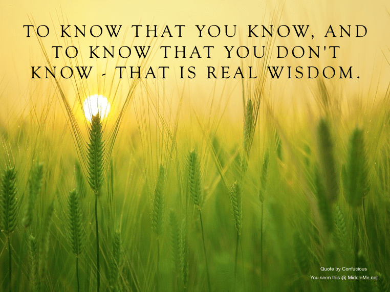 Screen Shot 2016-11-13 at 2.39.04 PM.png