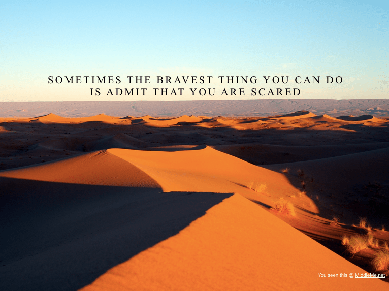 Screen Shot 2016-11-13 at 2.44.03 PM.png