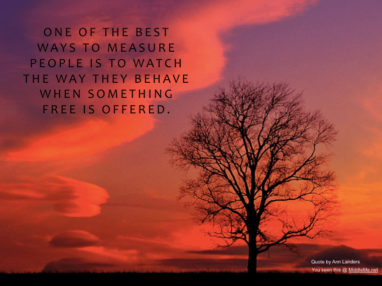 Screen Shot 2016-11-13 at 2.50.23 PM.png