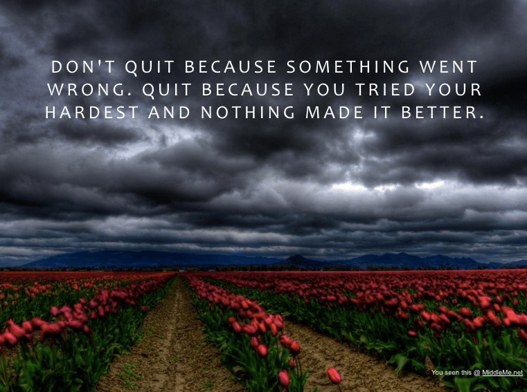 Screen Shot 2016-11-13 at 2.57.05 PM.png