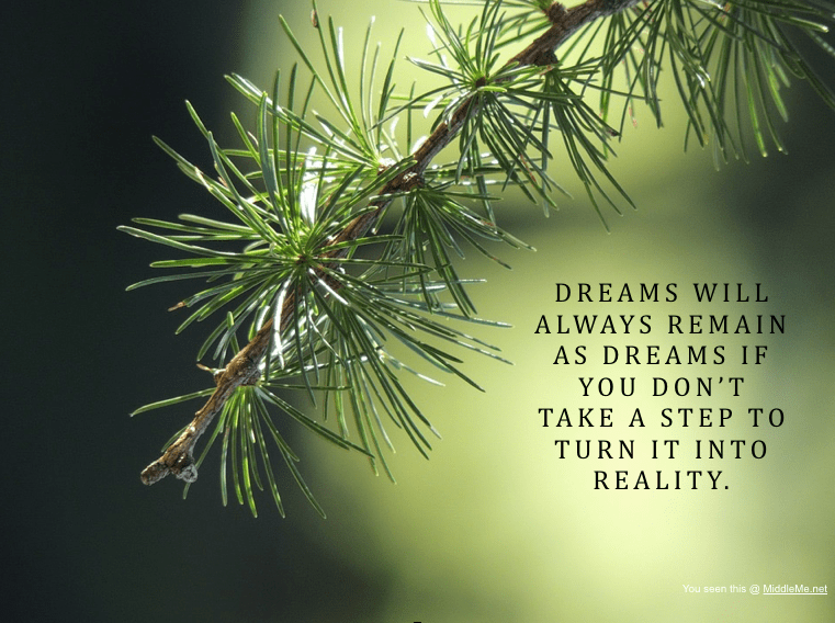 Screen Shot 2017-03-07 at 11.15.00 PM.png