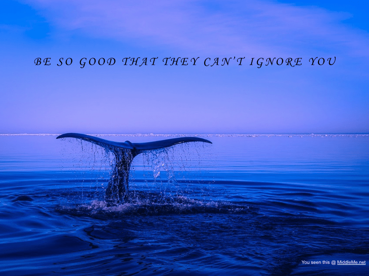 Screen Shot 2017-03-07 at 11.15.16 PM.png