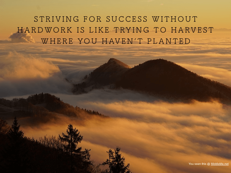 Screen Shot 2017-03-07 at 11.16.33 PM.png