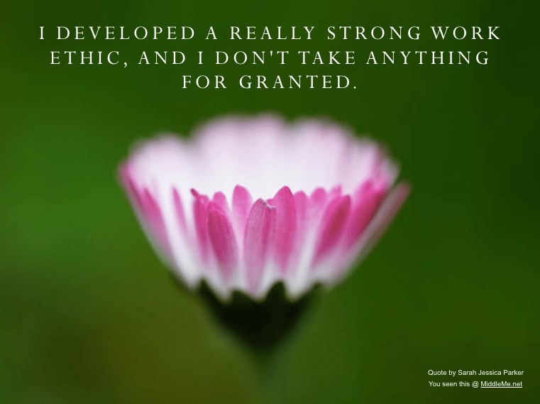 Screen Shot 2017-03-07 at 11.17.25 PM.png