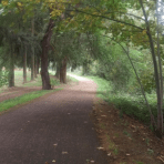 Screen Shot 2017-04-17 at 3.49.02 PM.png