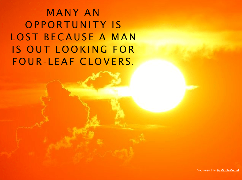 Screen Shot 2017-07-23 at 11.22.14 PM.png