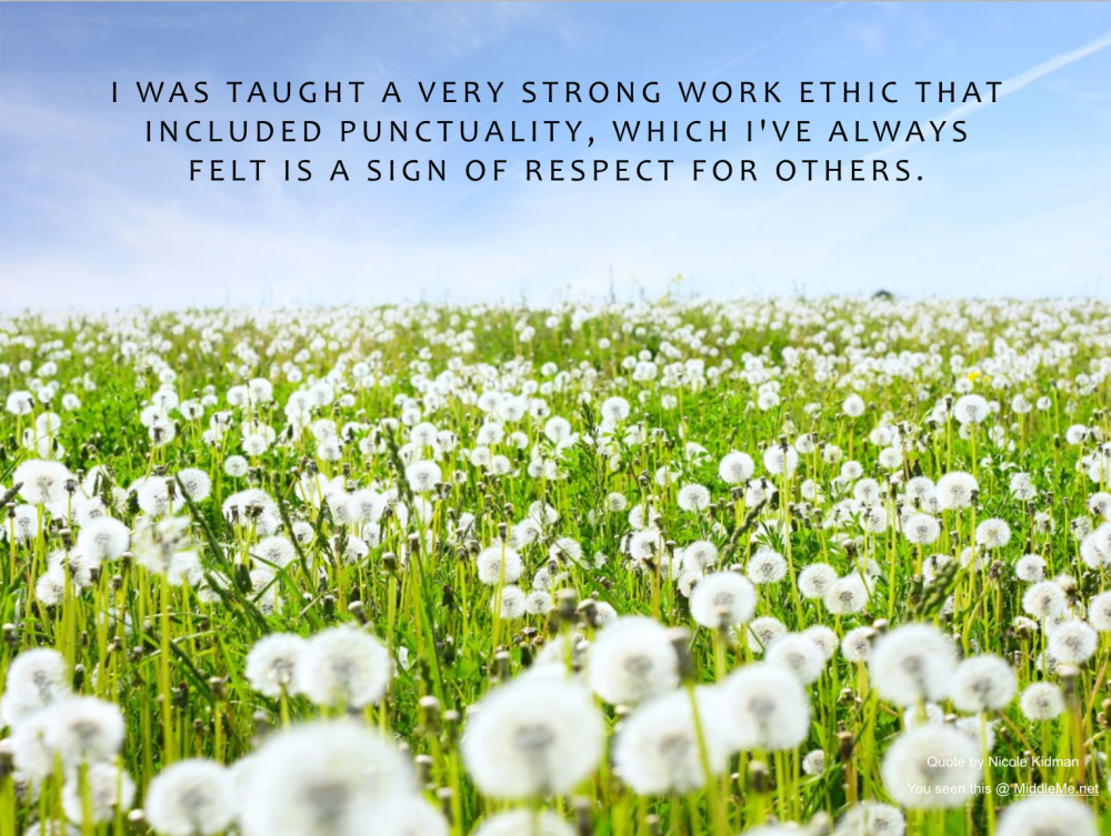 Screen Shot 2017-07-23 at 11.49.18 PM.png