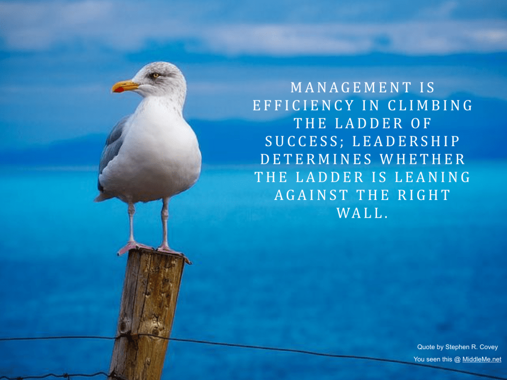 Screen Shot 2018-04-26 at 10.13.56 PM.png