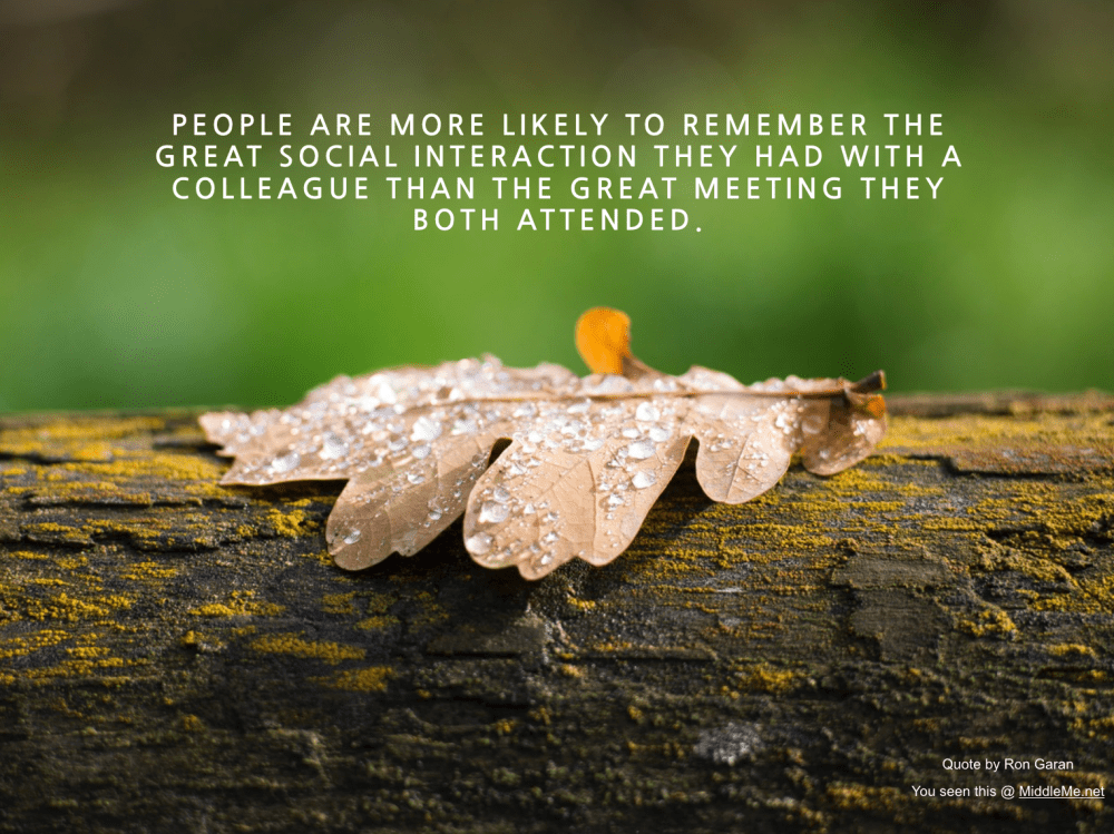 Screen Shot 2018-04-26 at 9.55.15 PM.png