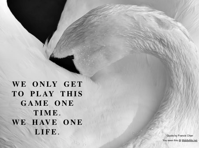 Screen Shot 2018-09-23 at 11.04.24 PM