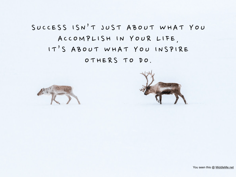 Screen Shot 2019-05-16 at 10.32.26 PM.png