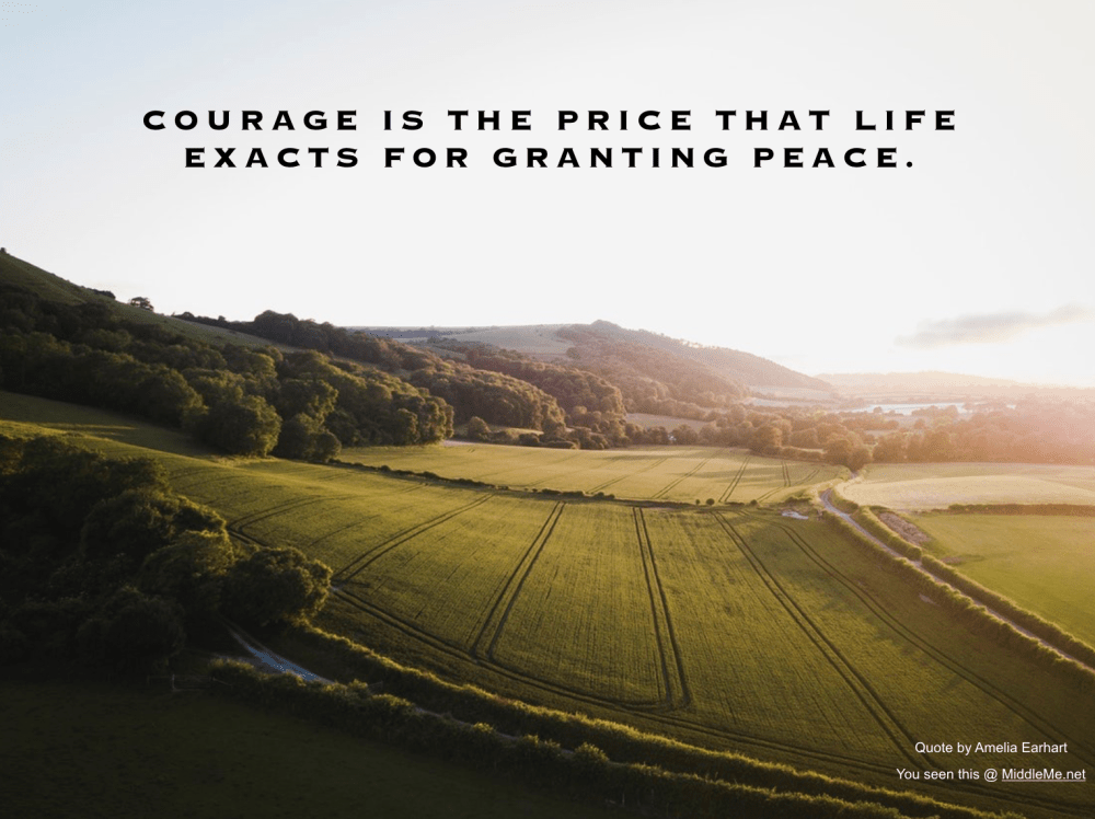 Screen Shot 2019-05-16 at 3.53.09 PM.png