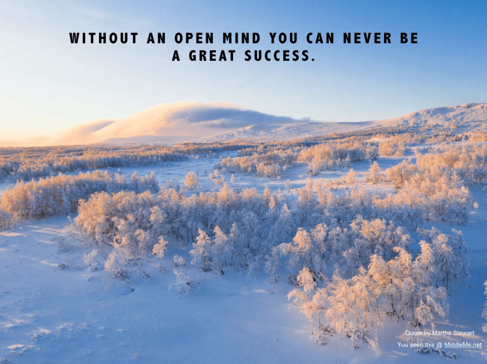 Screen Shot 2019-05-16 at 3.53.17 PM.png